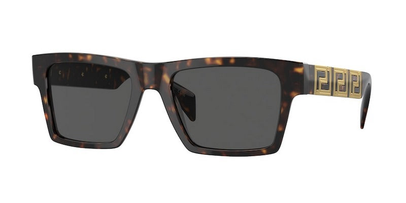Versace VE4445 108/87 54